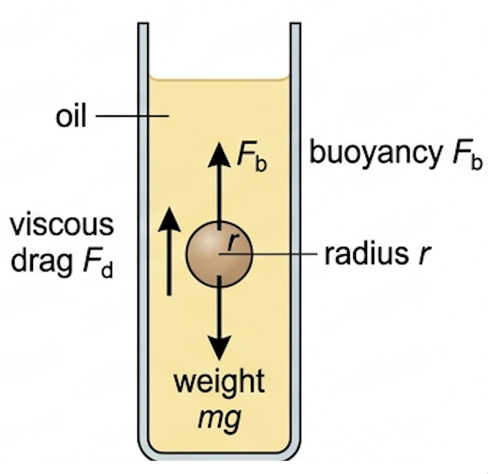 Sphere falling through oil with viscous drag and buoyancy upwards and weight downwards