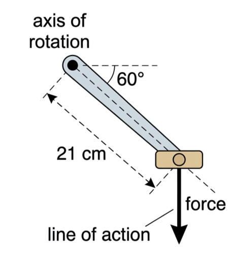Side view of a bicycle pedal 21 centimetres from the axis of rotation with the line of action of the cyclist's downward force at 60 degrees to the pedal arm