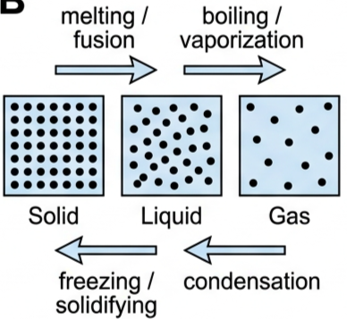 Diagram of solid, liquid and gas states with labelled arrows for melting, freezing, boiling, evaporation and condensation