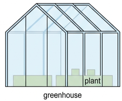 An ornate glass greenhouse used to grow plants in a colder climate
