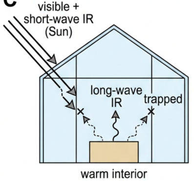 Diagram of visible and short-wave infrared entering a greenhouse through glass, while long-wave infrared radiated from the warm interior is trapped