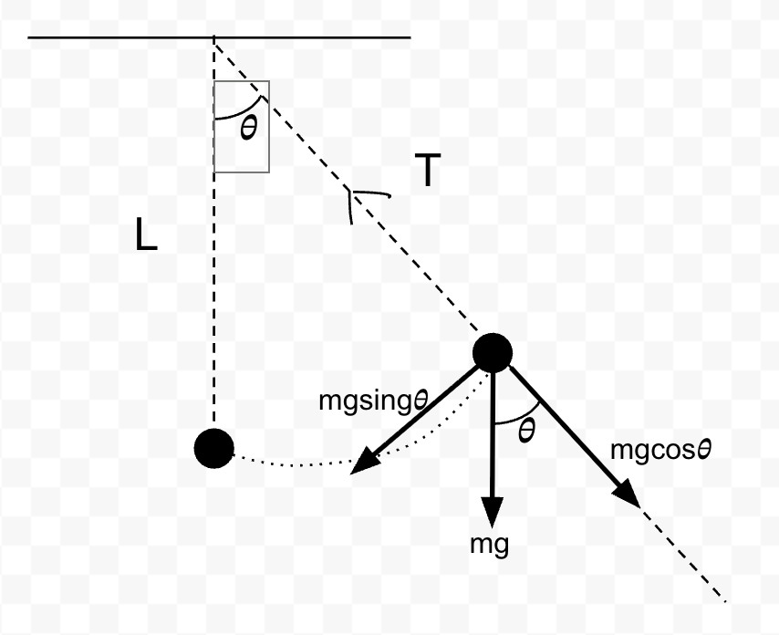 Pendulum displaced by angle theta with weight mg resolved into mg sin theta along the arc and mg cos theta along the string, tension marked