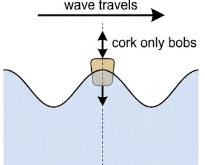 Ripple travelling across water past a floating cork, with the cork bobbing vertically in place while the wave moves horizontally