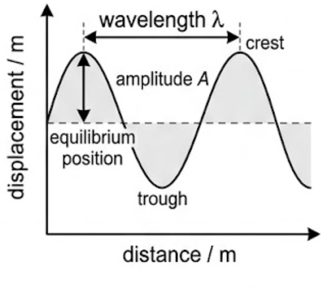 Sine wave against distance with the amplitude marked from the equilibrium line to a crest and the wavelength marked from crest to crest