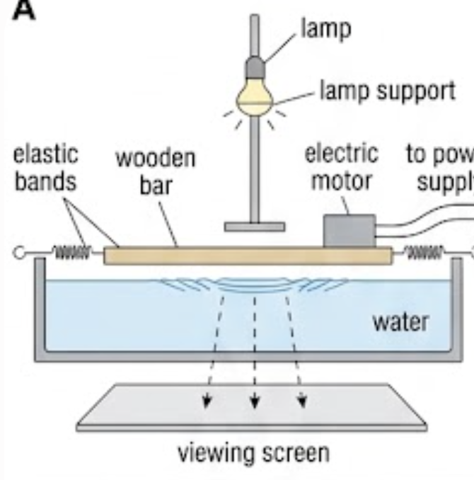 Ripple tank with lamp above, vibrating wooden bar on elastic bands driven by an electric motor, and viewing screen below