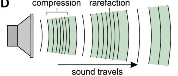 Sound wave spreading from a loudspeaker cone, shown as bands of compressed and rarefied air