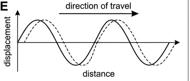 Wave snapshot with a solid profile and a slightly shifted dashed profile showing the direction the wave is travelling