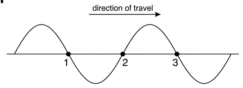 Transverse wave on a string with three marked points labelled to determine their next direction of motion