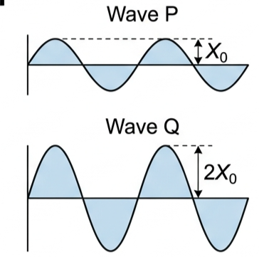 Two displacement-time graphs stacked, Wave P with amplitude X naught and Wave Q with amplitude twice X naught